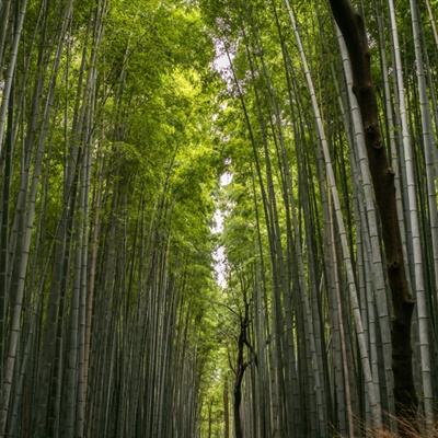 金属回收厂游戏下载